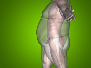 adam kilolu vs ince uygun 