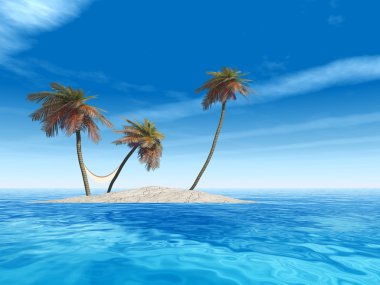 palmiye ağaçları ile egzotik ada 