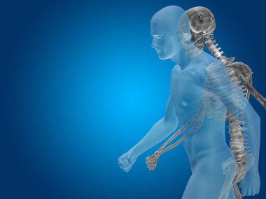 kavramsal insan vücudu 