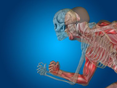 kavramsal insan vücudu 