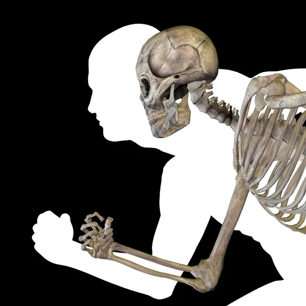 Концептуальная анатомия с костями — стоковое фото