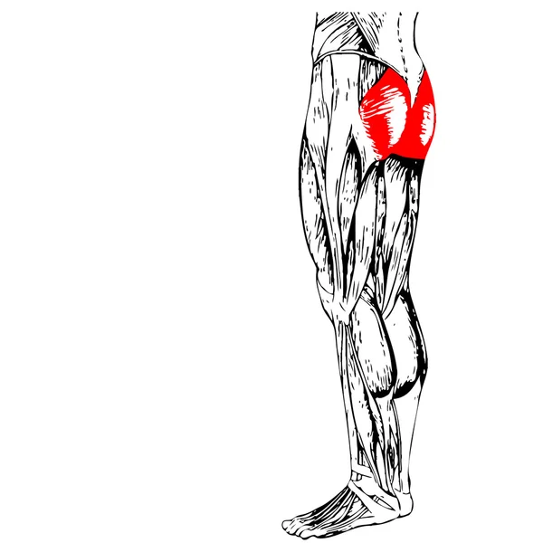 Ludzkich nóg górnych — Zdjęcie stockowe