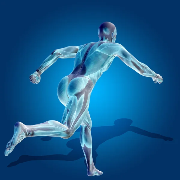 Stong human  body with muscles — Stock Photo, Image