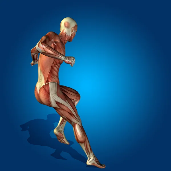 Тремтяче людське тіло з м'язами — стокове фото