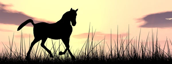 Silueta de caballo negro — Foto de Stock