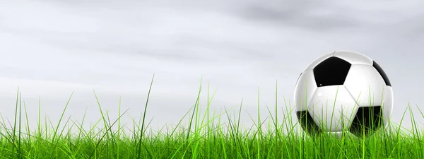 Bola de futebol em grama verde fresca — Fotografia de Stock