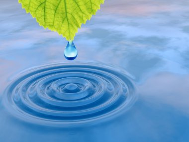 taze yaprak yeşil düşen bırak