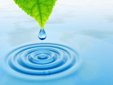 taze yaprak yeşil düşen bırak