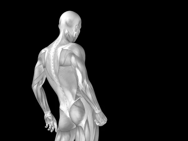 Stong humano com músculos — Fotografia de Stock