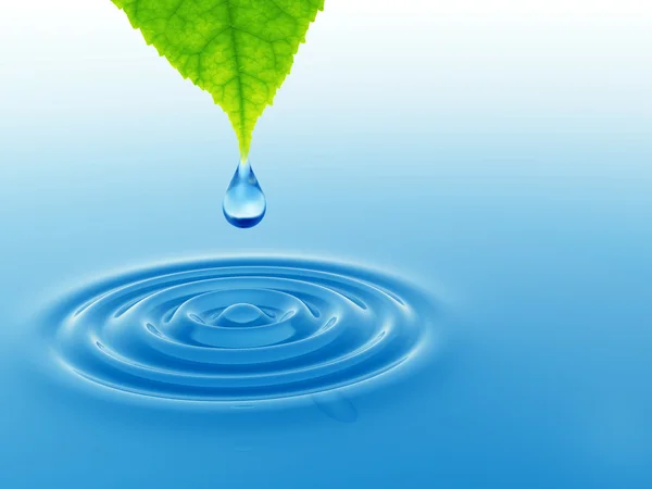 Drop falling from a green fresh leaf — Stock Photo, Image