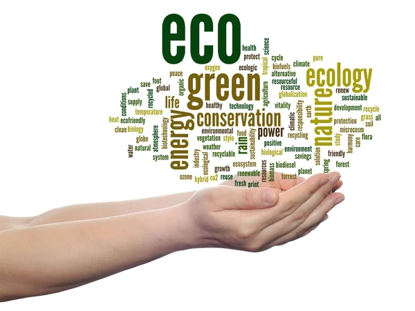 Ecology, conservation word cloud — Stock Photo, Image