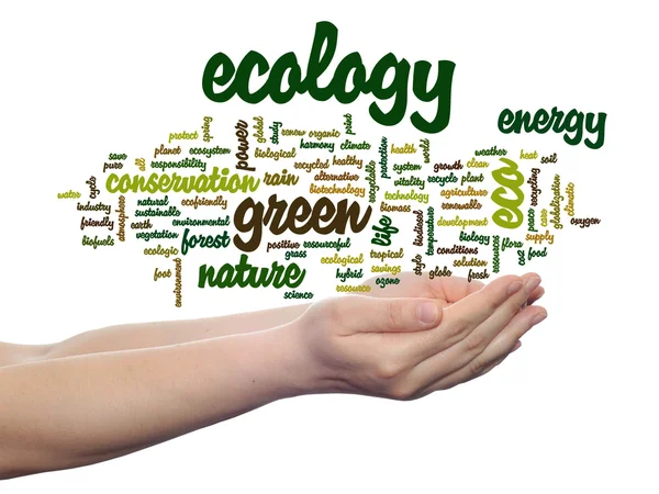 Ecologie word cloud-tekst — Stockfoto