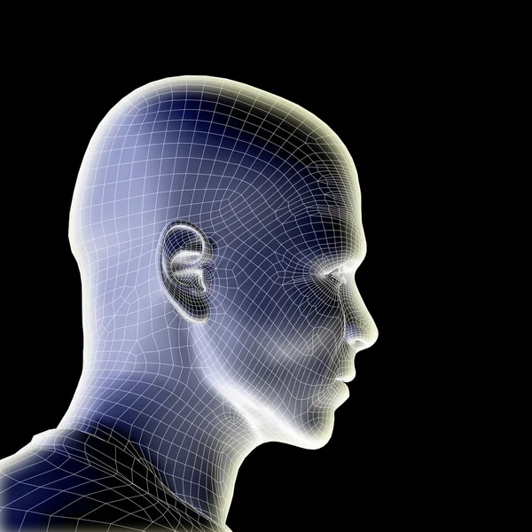 Wireframe human male head — Stock Photo, Image