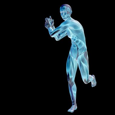 İnsan anatomisi tasarımlar için kaslı.