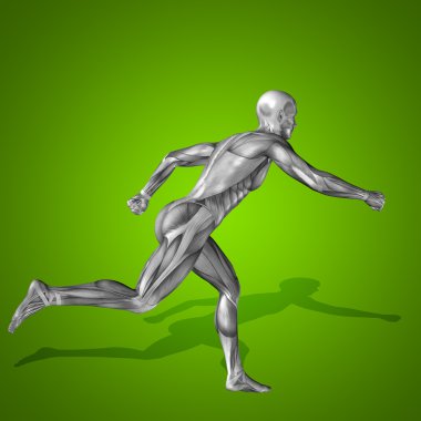 kavramsal stong insan 