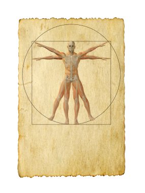 Vitruvius insan vücudu çizim 