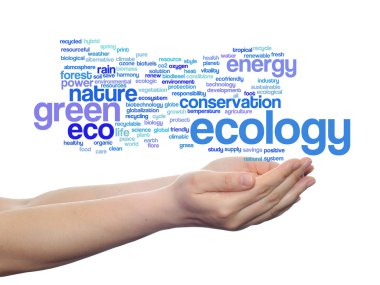 Ekoloji kelime bulutu metin