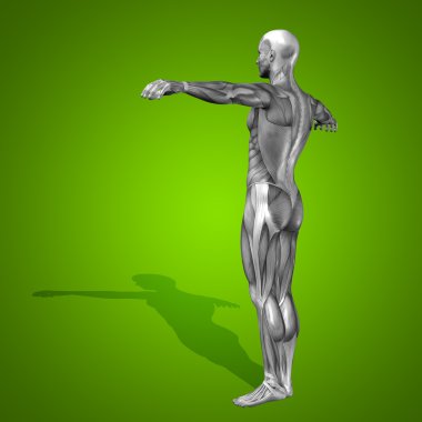 kavramsal stong insan 