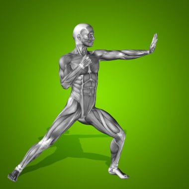 kavramsal stong insan 