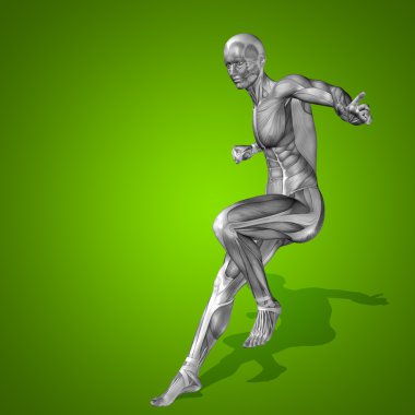 kavramsal stong insan 