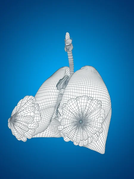Rete metallica sistema respiratorio — Foto Stock
