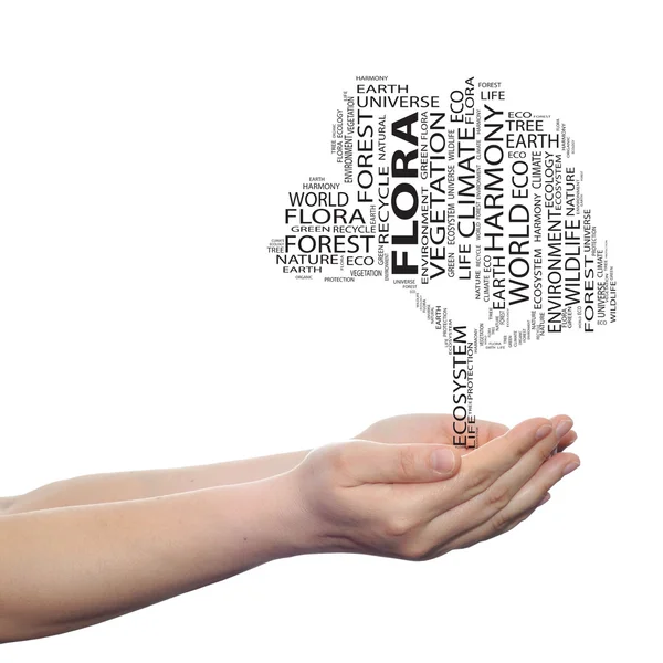 Ecology  word cloud — Stock Photo, Image