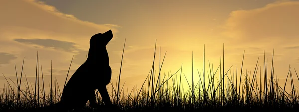 black cute dog silhouette