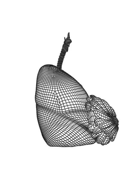 Sistema respiratorio de malla cableada —  Fotos de Stock