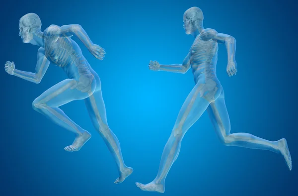 Esqueletos humanos, cuerpos transparentes — Foto de Stock