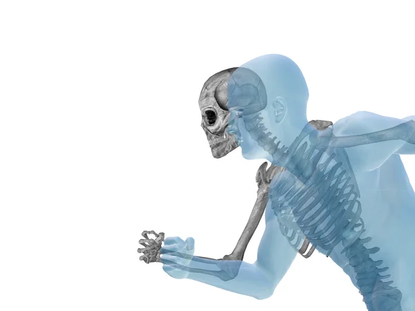 Anatomia com ossos e face — Fotografia de Stock