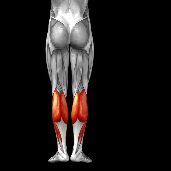 Нижние ноги человека — стоковое фото