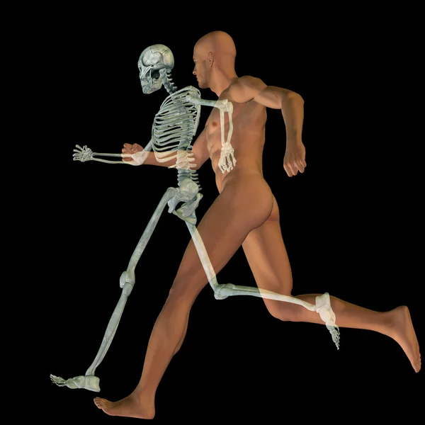 Skelett und transparenter Körper — Stockfoto