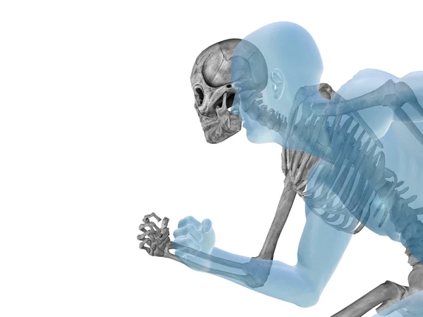 Anatomia con ossa e viso — Foto Stock
