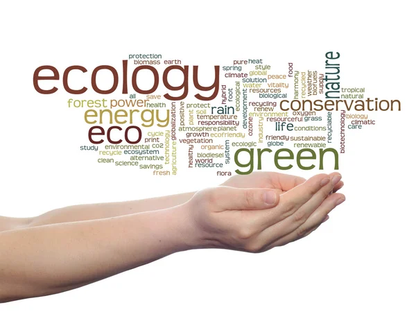 Ecologie word cloud-tekst — Stockfoto