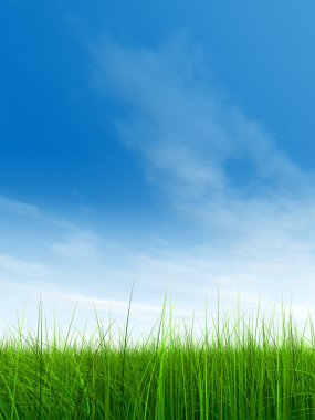 Taze ve doğal çim sahası 