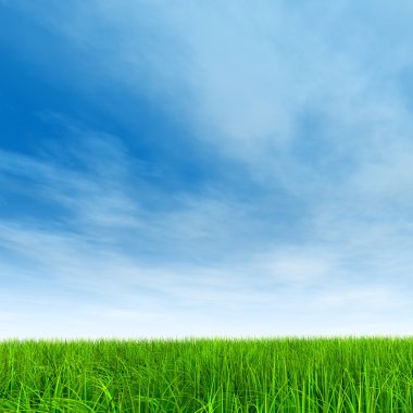 Taze ve doğal çim sahası 