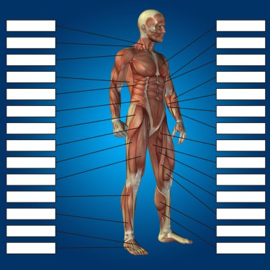 adam kasları ve metin kutusu