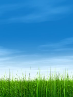 Taze ve doğal çim sahası 