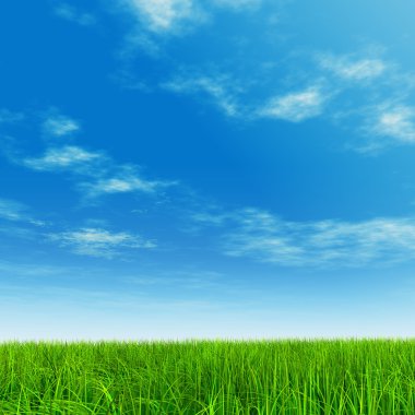 Taze ve doğal çim sahası 