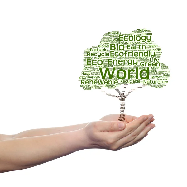 Ekologi text word cloud träd — Stockfoto