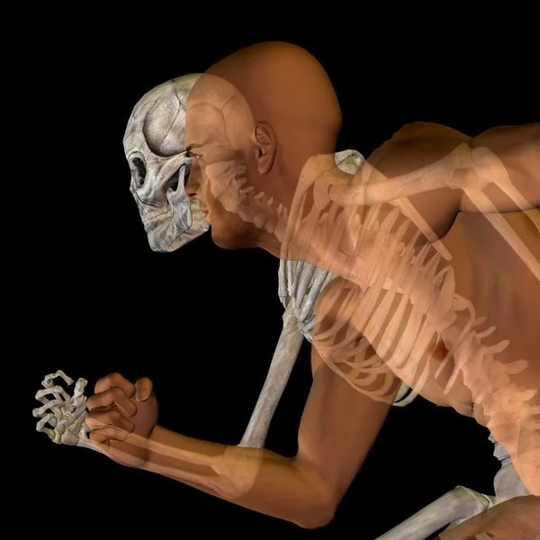 Anatomie met botten en gezicht — Stockfoto