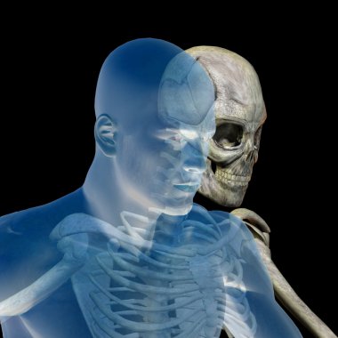 Kemikler ve yüz anatomisi 