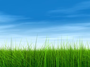 Taze ve doğal çim sahası 