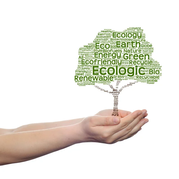 Ekologi text word cloud träd — Stockfoto