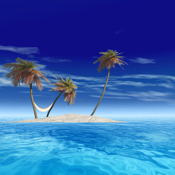 exotic island with palm trees