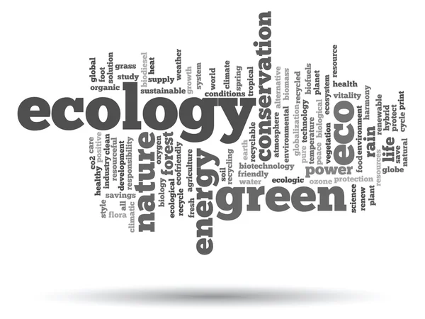 Ecology  and conservation word cloud — Stock Photo, Image