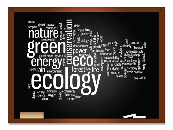 Conservation word cloud  on blackboard — Stock Photo, Image