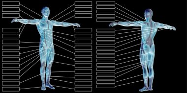 adam anatomisi ve kas metin kutuları 