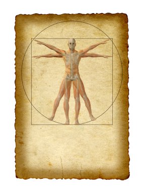 Vitruvius insan vücudu çizim 