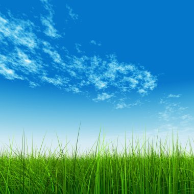 çimen tarlası ve mavi gökyüzü